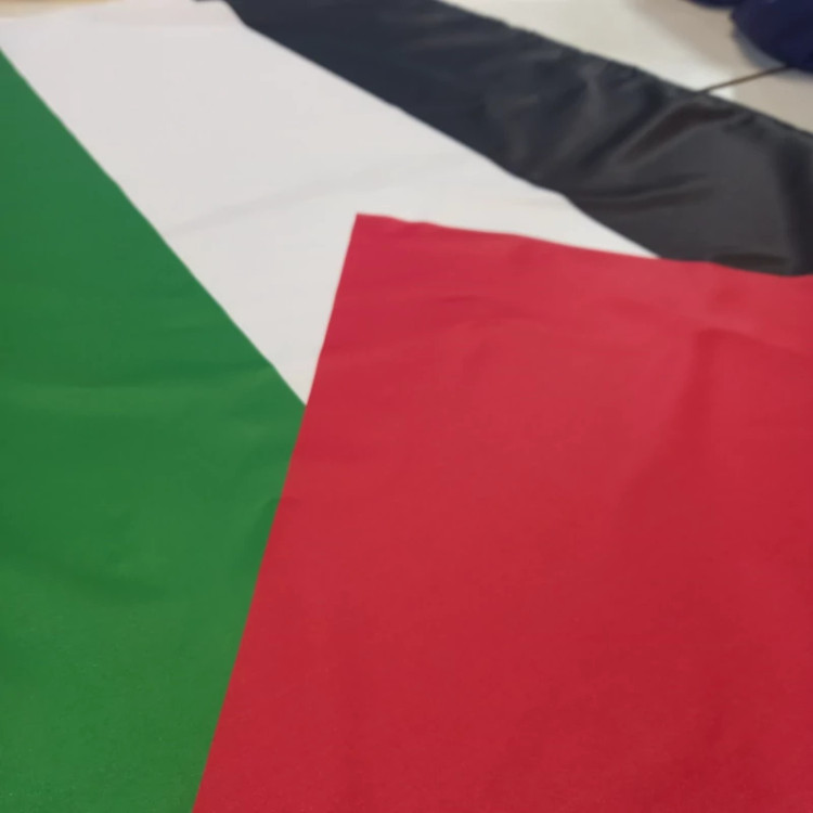 پرچم ساتن فلسطین